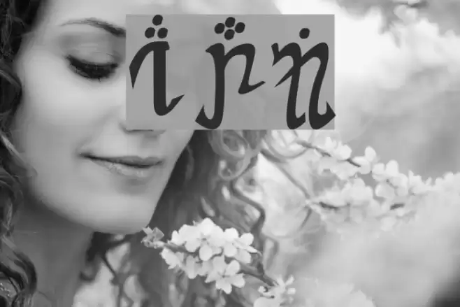 Herami Font examples