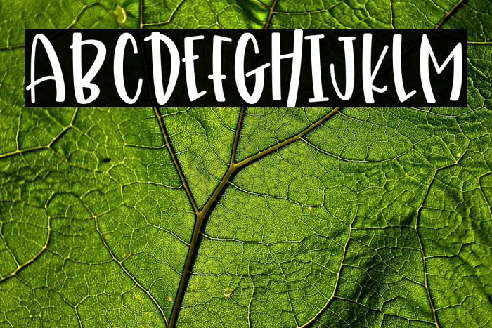 Herbal Medicine (Demo) Example 3