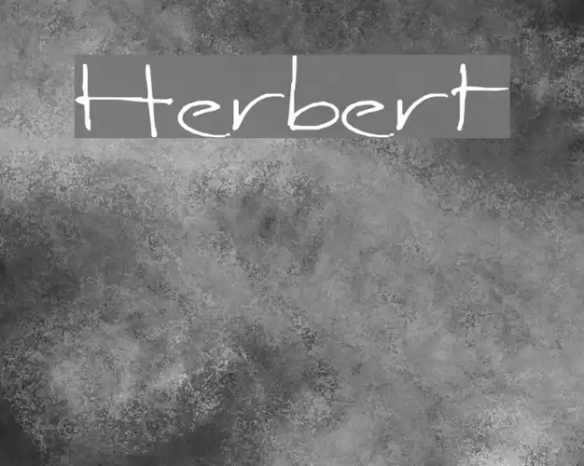 Herbert Polices examples