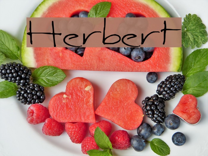 Herbert Font examples