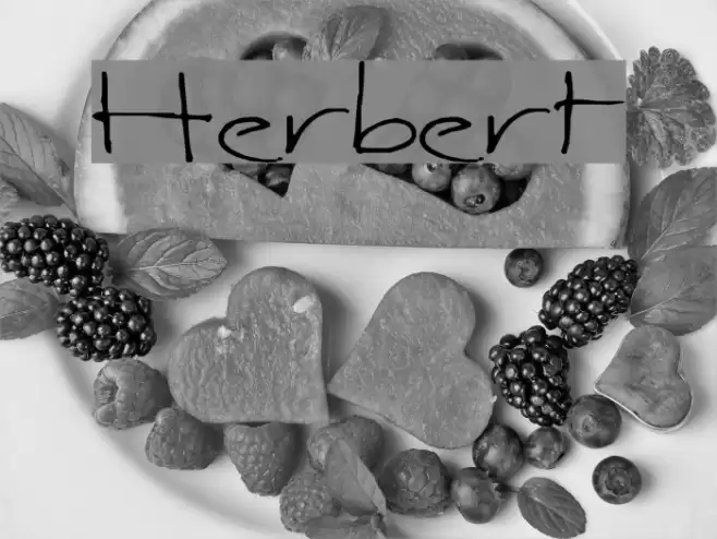 Herbert Polices examples