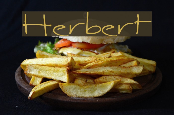Herbert Font examples
