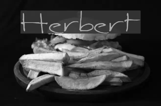 Herbert Polices examples