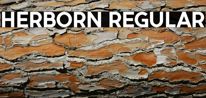 Herborn Regular Example 3