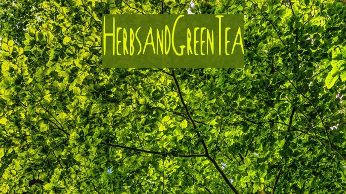 Herbs_and_Green_Tea Font examples