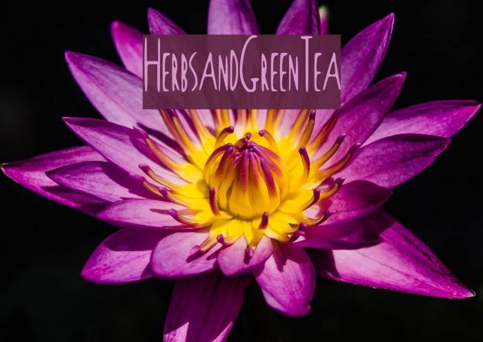 Herbs_and_Green_Tea Font examples