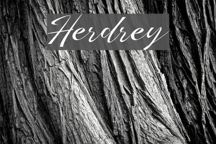 Herdrey Example 1