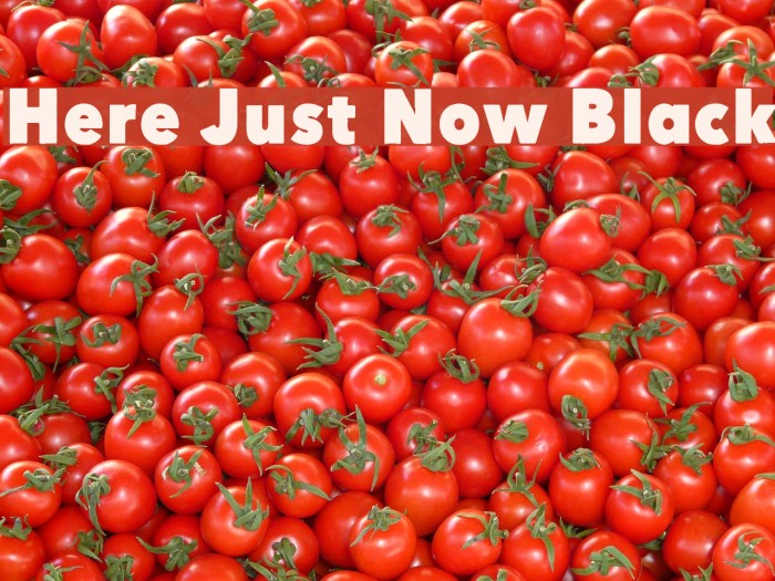 Here Just Now Black Font examples