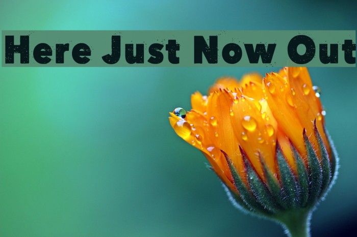 Here Just Now Out Font examples