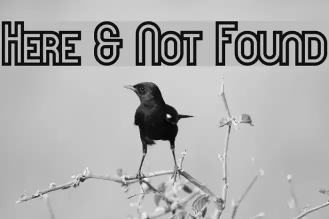 Here & Not Found Fonte examples