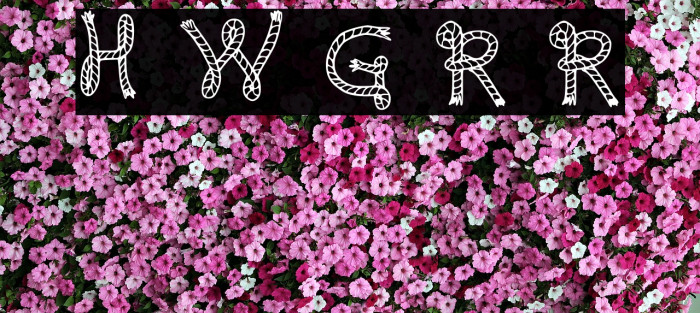 Here We Go Rodeo Regular Font examples