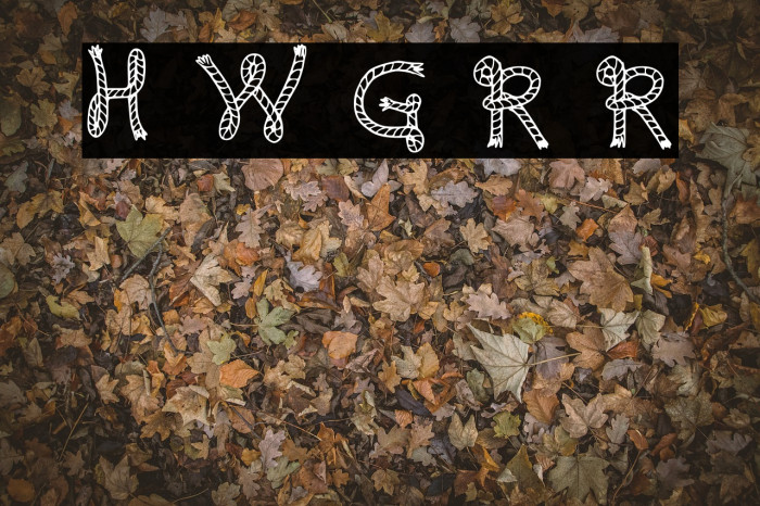Here We Go Rodeo Regular Font examples
