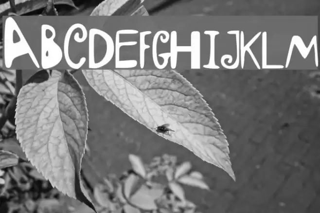 HereAndThere Font examples