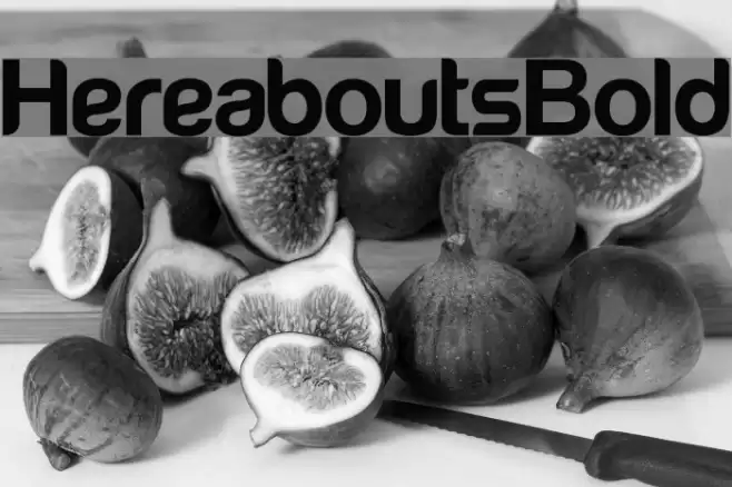 HereaboutsBold Font examples