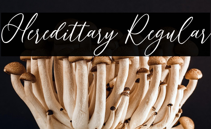 Heredittary Regular Example 1