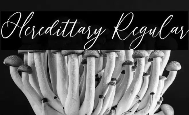 Heredittary Regular Font examples
