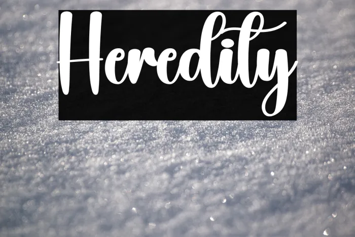 Heredity Example 1