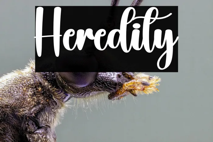 Heredity Example 3