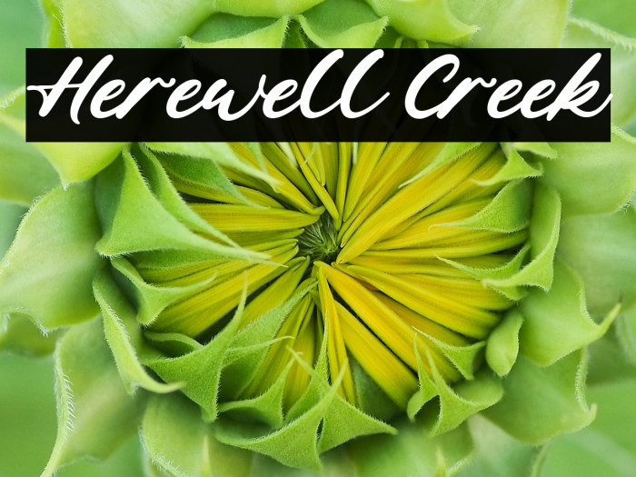 Herewell Creek Example 1
