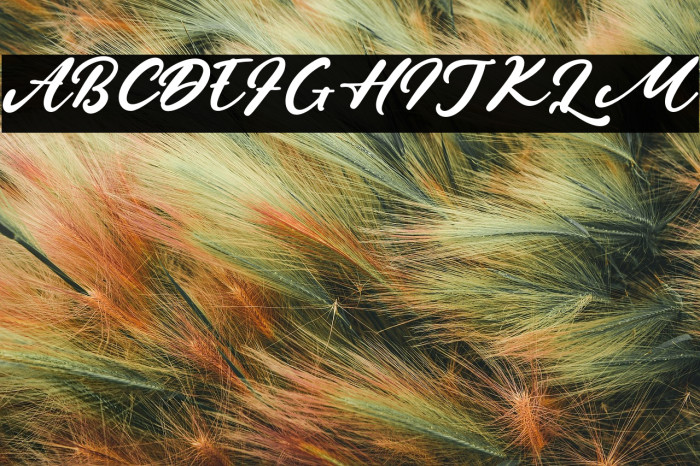 HerewellCreek Example 1