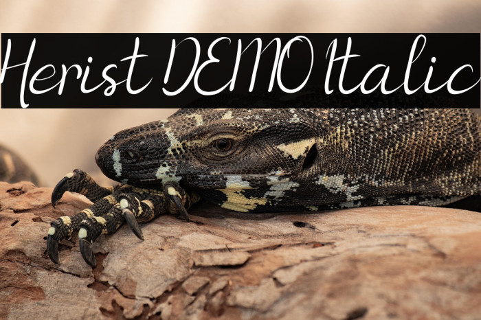 Herist DEMO Italic Example 1