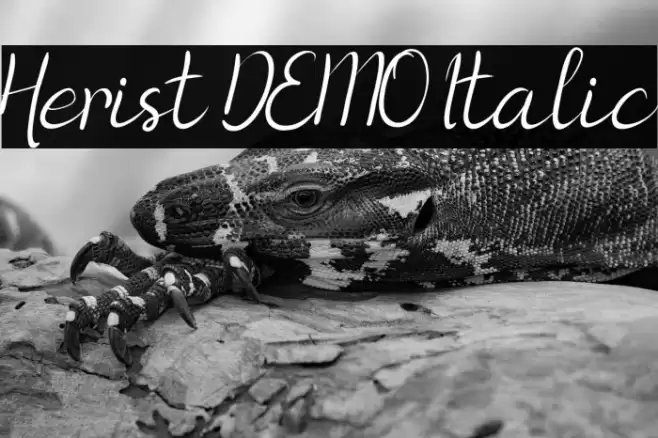 Herist DEMO Italic Font examples