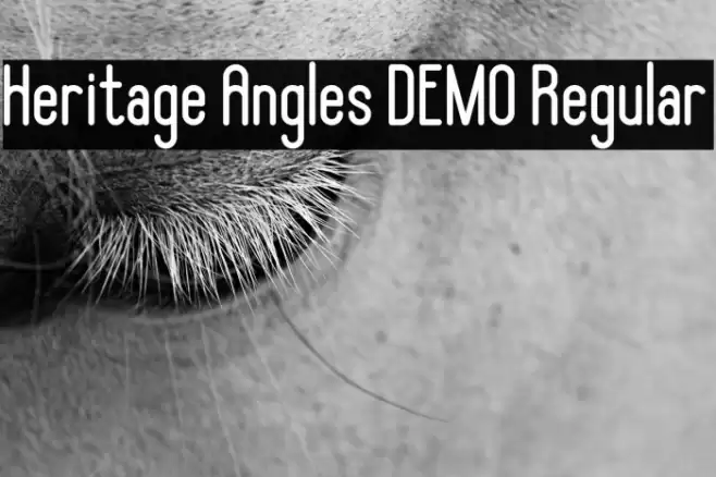 Heritage Angles DEMO Regular फ़ॉन्ट examples