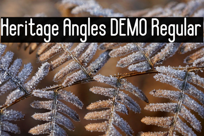 Heritage Angles DEMO Regular Example 2