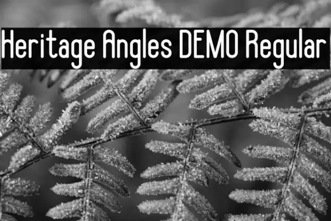 Heritage Angles DEMO Regular फ़ॉन्ट examples
