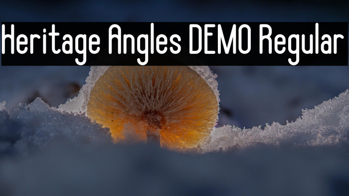 Heritage Angles DEMO Regular Example 3