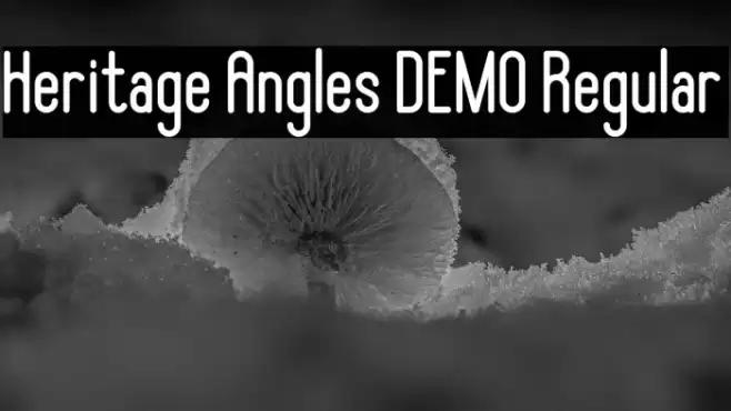 Heritage Angles DEMO Regular फ़ॉन्ट examples