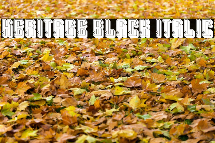 Heritage Black Italic Example 1
