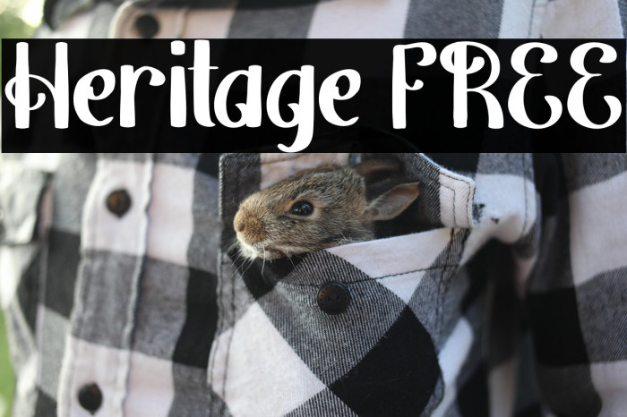 Heritage FREE Example 1