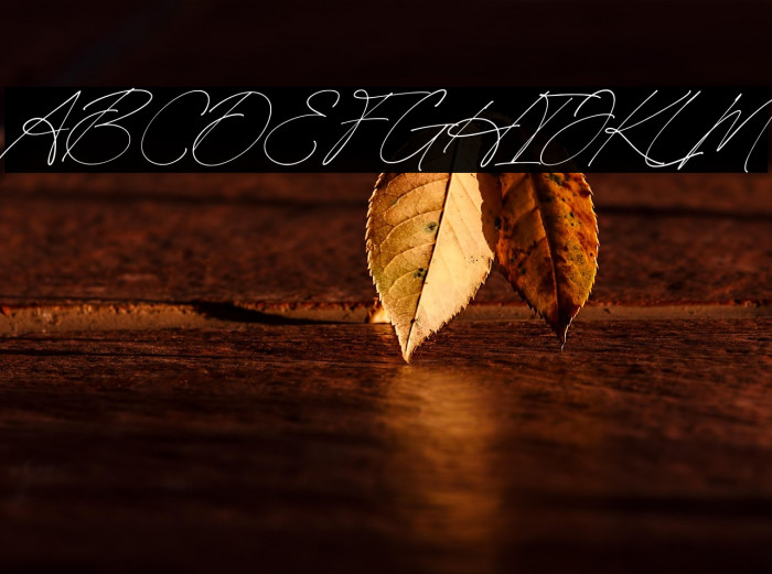 HeritageSignature-Regular Example 1