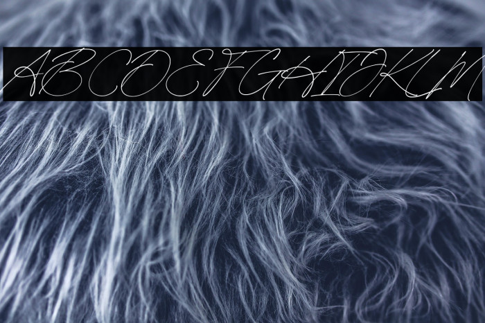 HeritageSignature-Regular Example 2