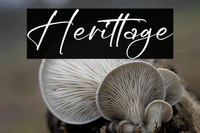 Herittage Example 1