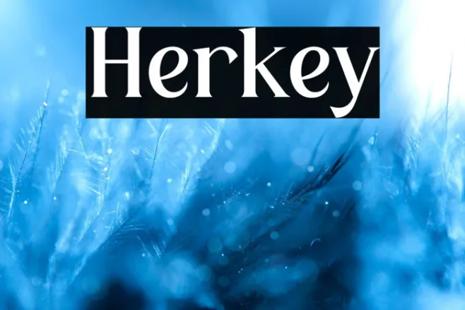 Herkey Example 1