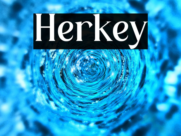 Herkey Example 3