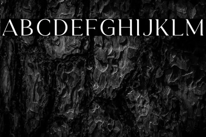 HerkingsDEMO Font examples