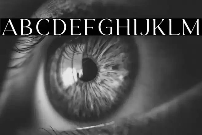 HerkingsDEMO Font examples