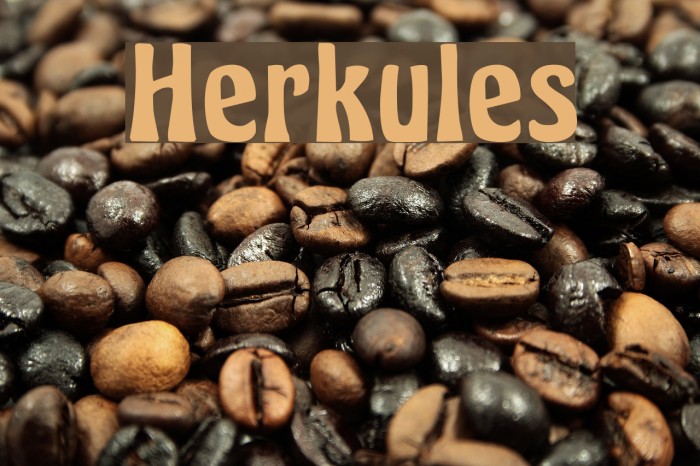 Herkules Font examples