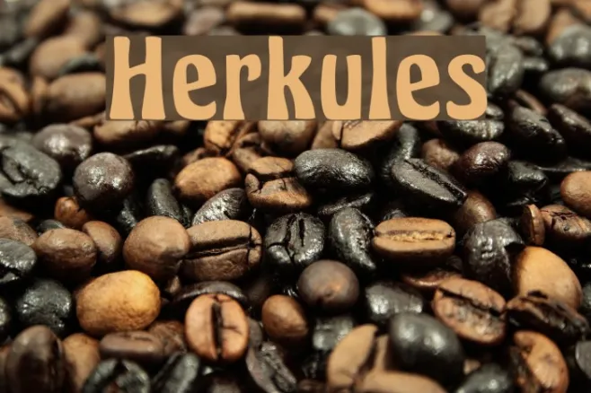 Herkules Example 3