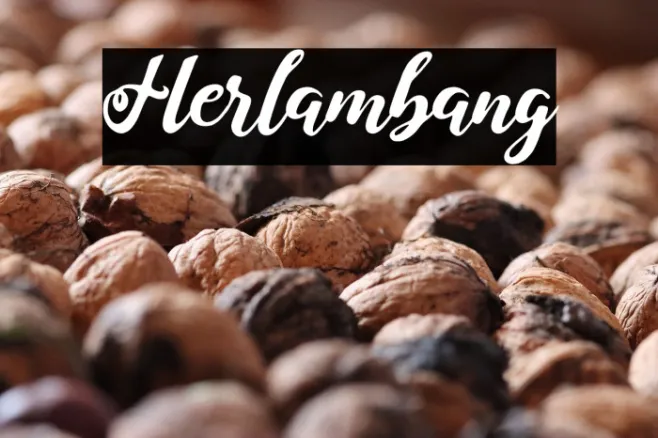 Herlambang Example 1