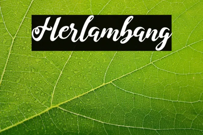 Herlambang Example 2