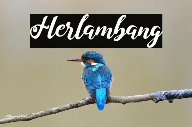 Herlambang Example 3