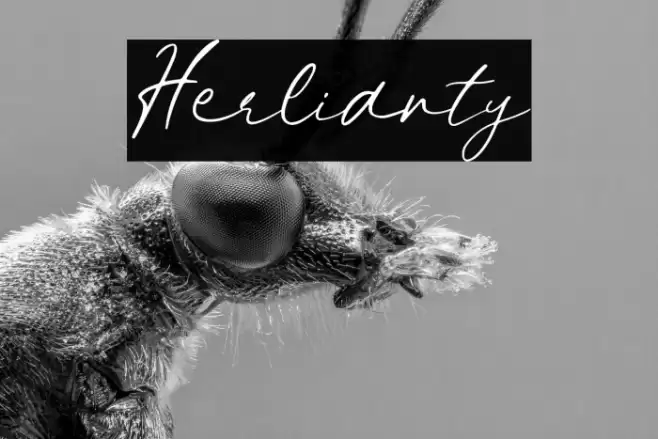 Herlianty Font examples