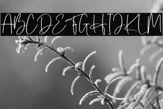 Herlina Font examples