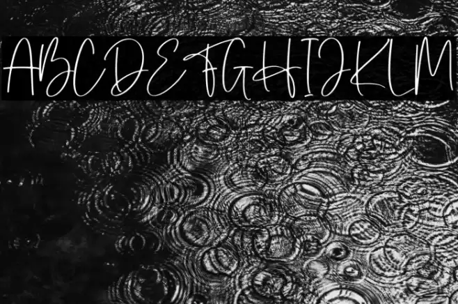 Herlina Font examples