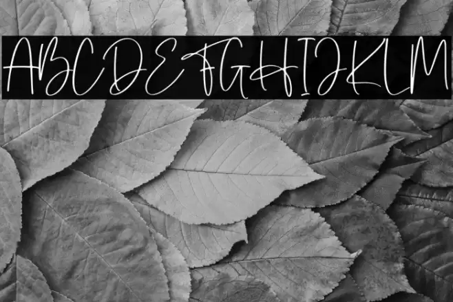 Herlina Font examples