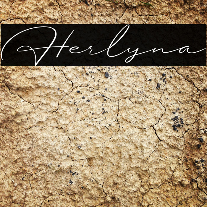 Herlyna Example 1